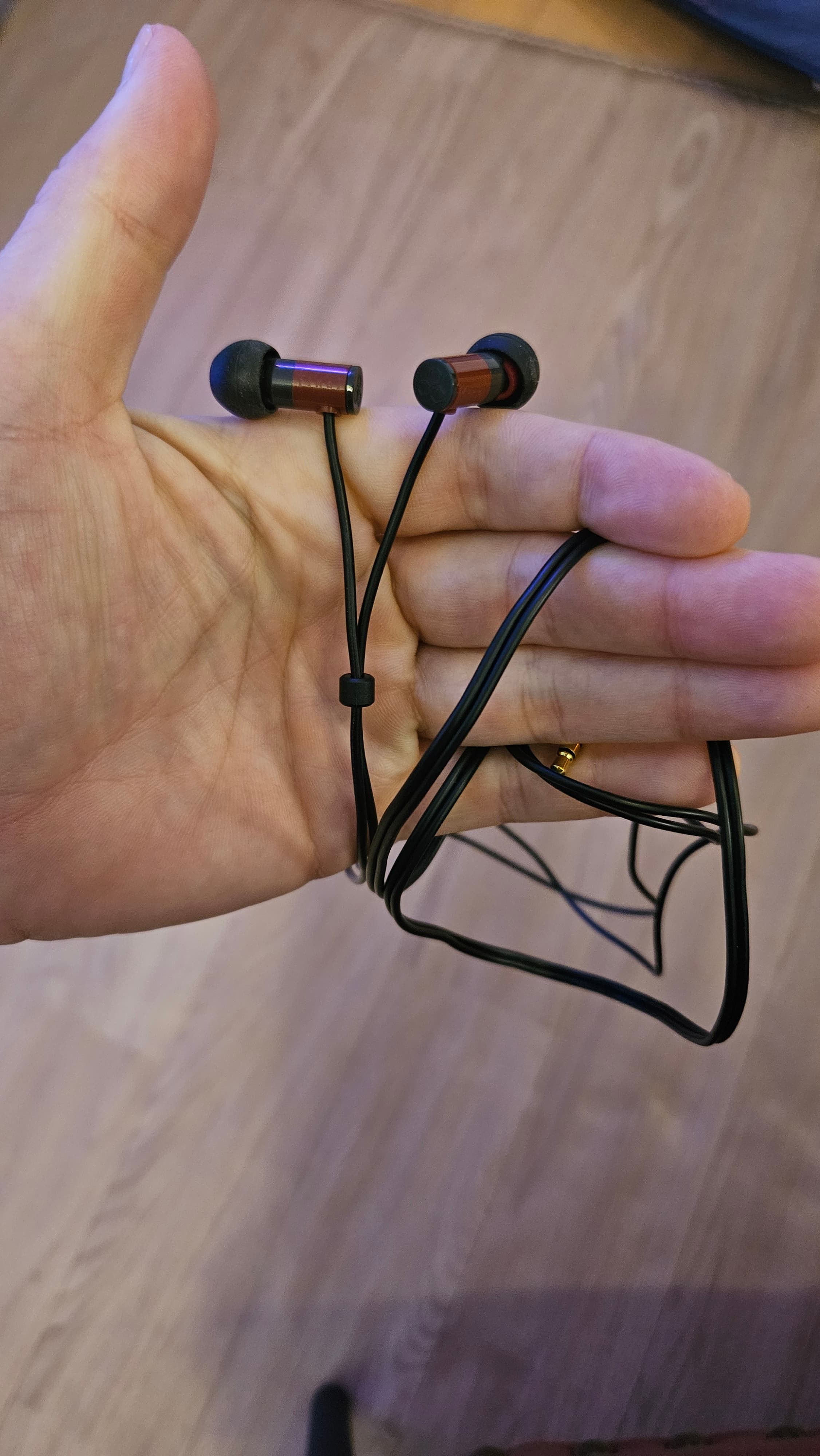 イヤホンゲット企画!